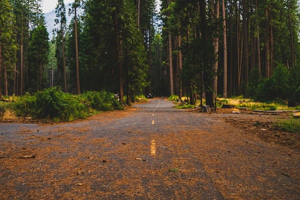 Quels sont les meilleurs itinéraires pour une randonnée en forêt en Allemagne?