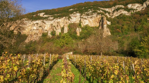 Quelle croisière offre des excursions pour découvrir les vignobles de Toscane avec des sommeliers?